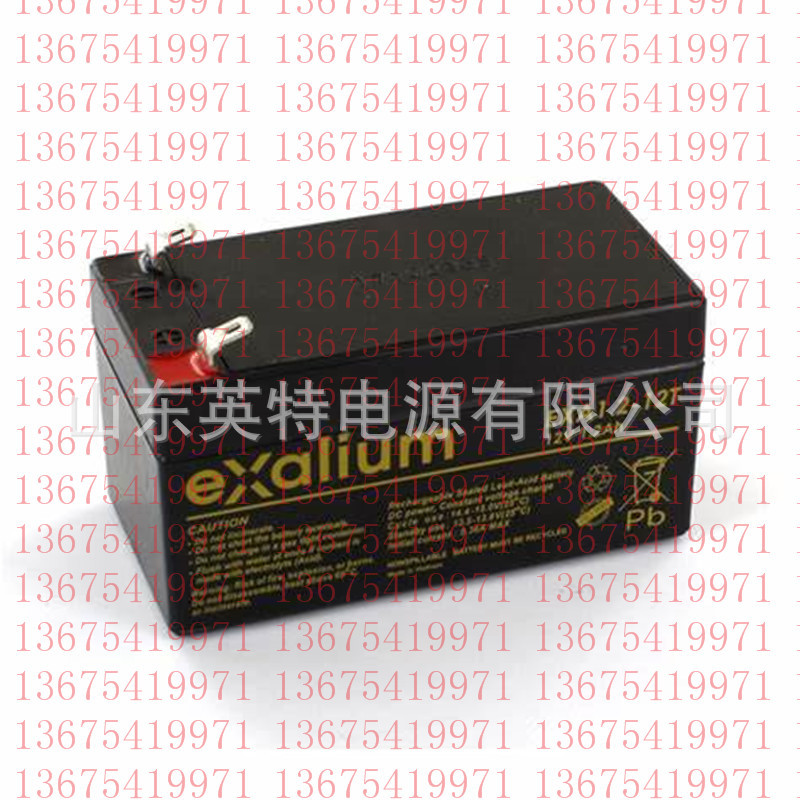 Exalium蓄电池EXA1.2-12T（12V1.2AH）设备/机器人蓄电池