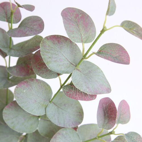 Simulated eucalyptus leaves, money leaves, silk flowers, green leaves, artificial flowers, green plants, dried flowers, simulated green plants, leaves, home decor