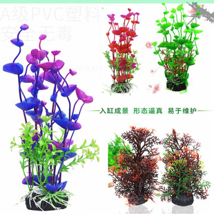紫色水草圖片 海量高清紫色水草圖片大全 阿里巴巴
