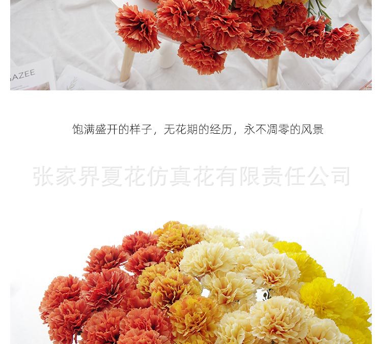 详情图_15.jpg
