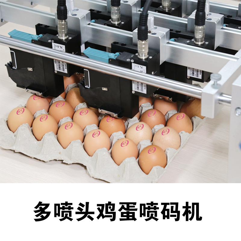 多喷头鸡蛋喷码机 弧面 追溯二维码 条形码 动态码高清喷码机