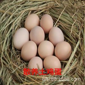 [ 2.9 Dollar Sale]Mountains Farm Backyard Tenebrio free range eggs First single erect reduction)Free Post