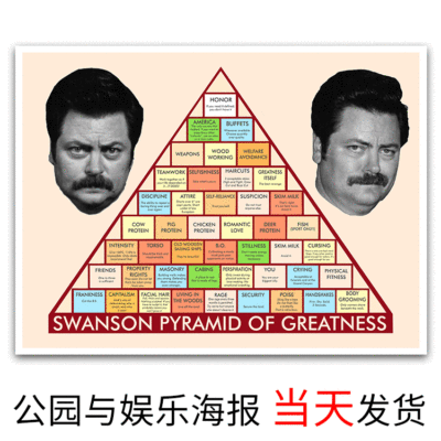 Amazon Selling Park entertainment TV poster Ron Swanson  Star Hanging picture
