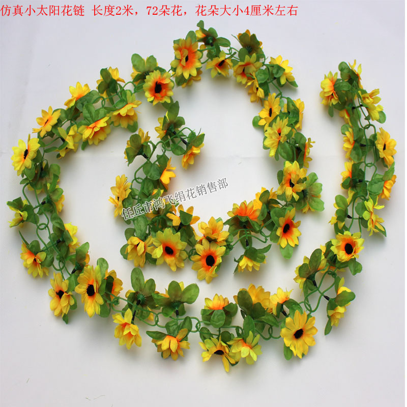 xiaotaiyanghualian12