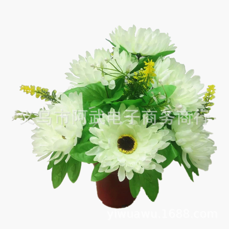 804e82d776c4603a2292657eee3550