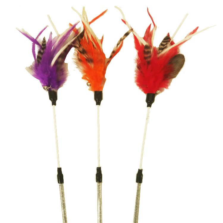 고양이 장난감 고양이 장난감 고양이 용품 애완 동물 장난감 깃털 종