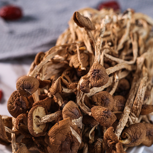 Unsheltered mushroom (Lion's Head Mushroom) 250g package, Gutian Specialty, New Arrival Edible Fungus Dry Goods Wholesale, SC Certified, Factory Wholesale