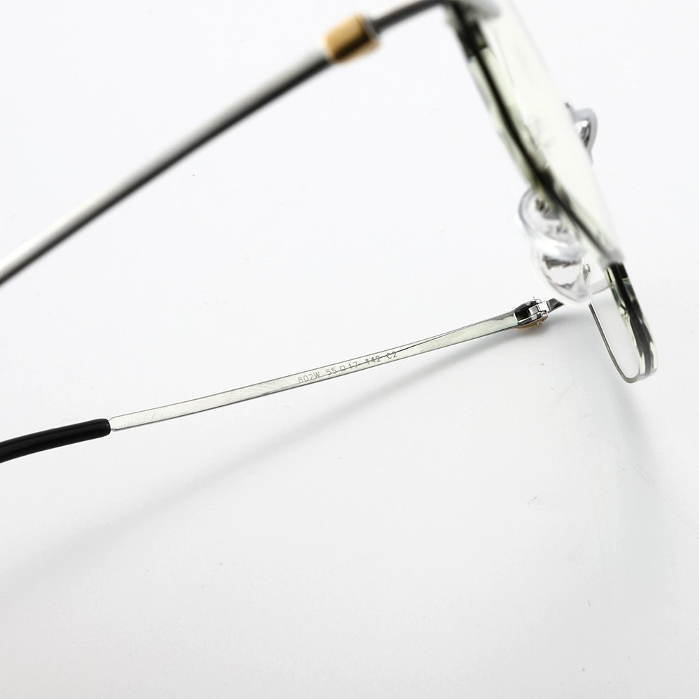 Men's glasses, 2022 collection, 802W