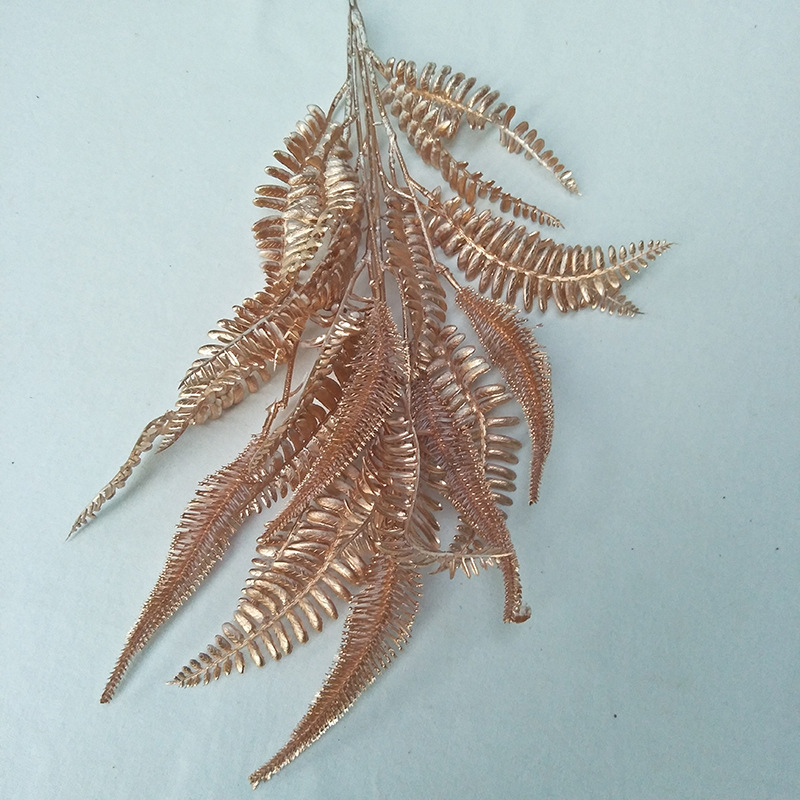 柔丽丝三号5.9元