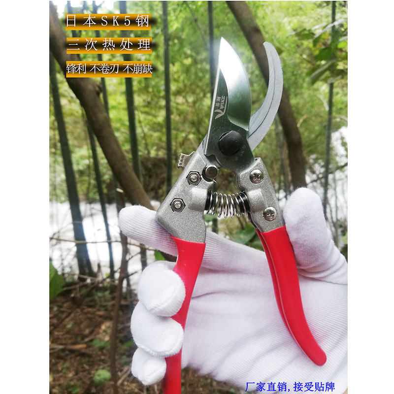 园林剪刀修枝剪厂家供应花枝园艺剪金属柄果枝剪果树省力修枝剪