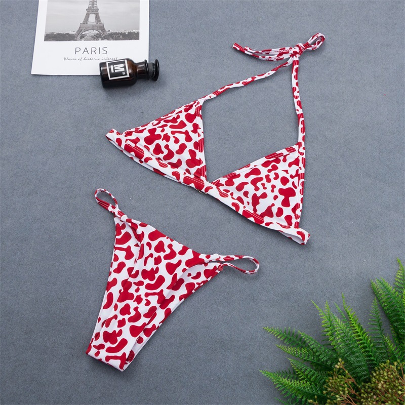   split bikini triangle swimsuit printing swimwear wholesale NSHL2675