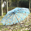 The new creative small fresh youth series transparent three -fold umbrella cartoon hand -folding student couple