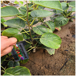 ��ľ����ܛ���J���Ҙ��� һ���ּ޽���F�ڬF�u ܛ���J������