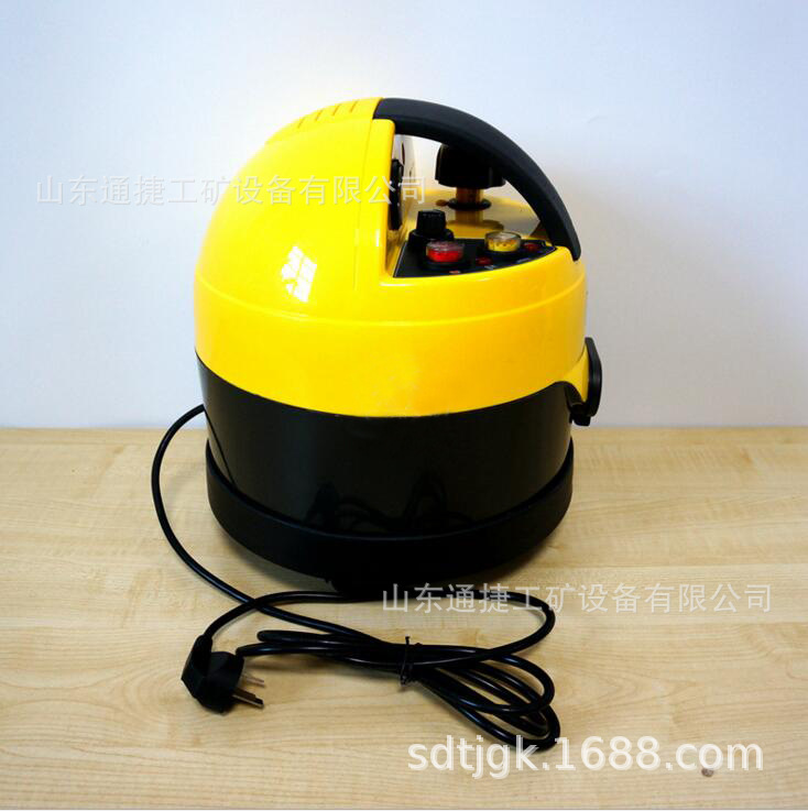 蒸汽清洗消毒机 汽车美容系列蒸汽清洗消毒机