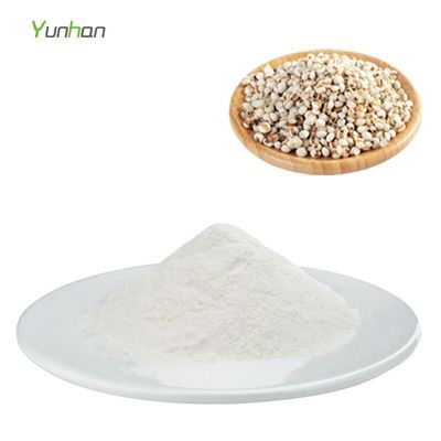 薏米仁提取物 全水溶薏仁粉 高倍浓缩 速溶薏仁提取物