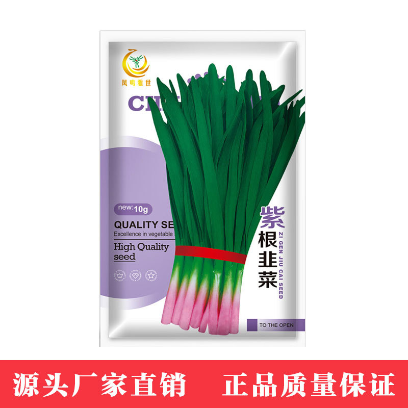 凤鸣雅世 紫根一号韭菜种子10克四季农家蔬菜种子菜种籽孑批发