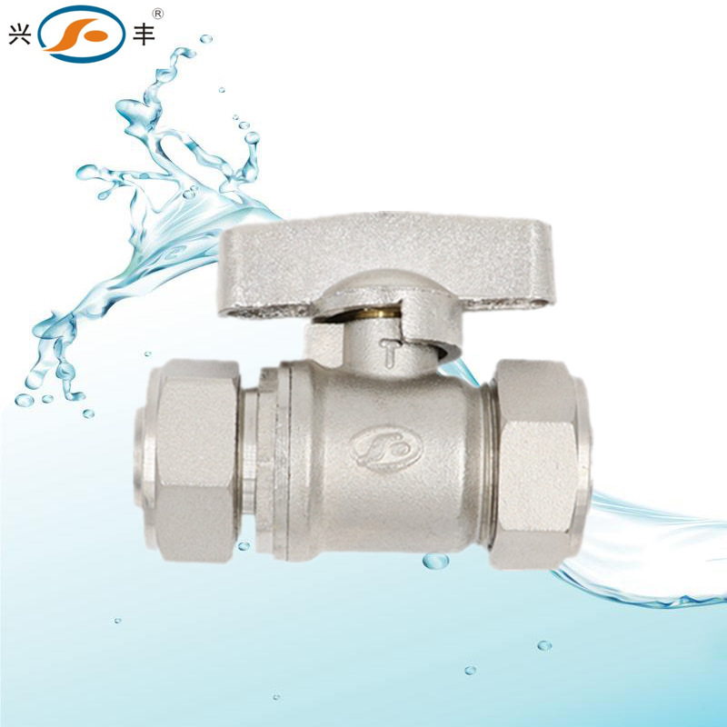 11050388169_585283988