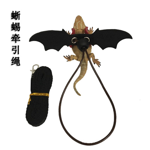 Climbing pet traction rope, green iguana traction rope, Dutch pig chinchilla outdoor anti-escape harness, squirrel harness