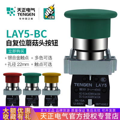 TENGEN天正LAY5-BC31蘑菇头按钮开关NP2自复位按钮红绿22孔BC42