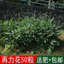�緼�N�Iˮ�������������N�ӄe��ˮ����ˮɏ���������������ݱ�
