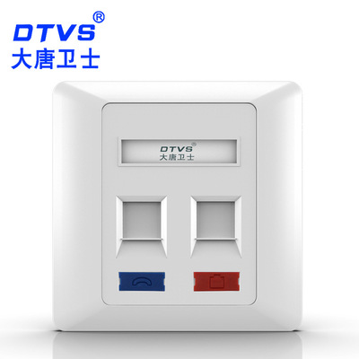 大唐卫士 DT8602  网络模块 面板 电话 网络模块 双口