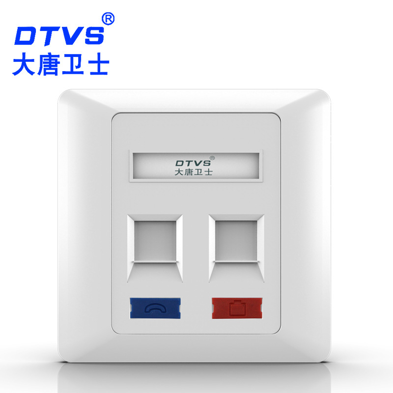 大唐卫士 DT8602  网络模块 面板 电话 网络模块 双口