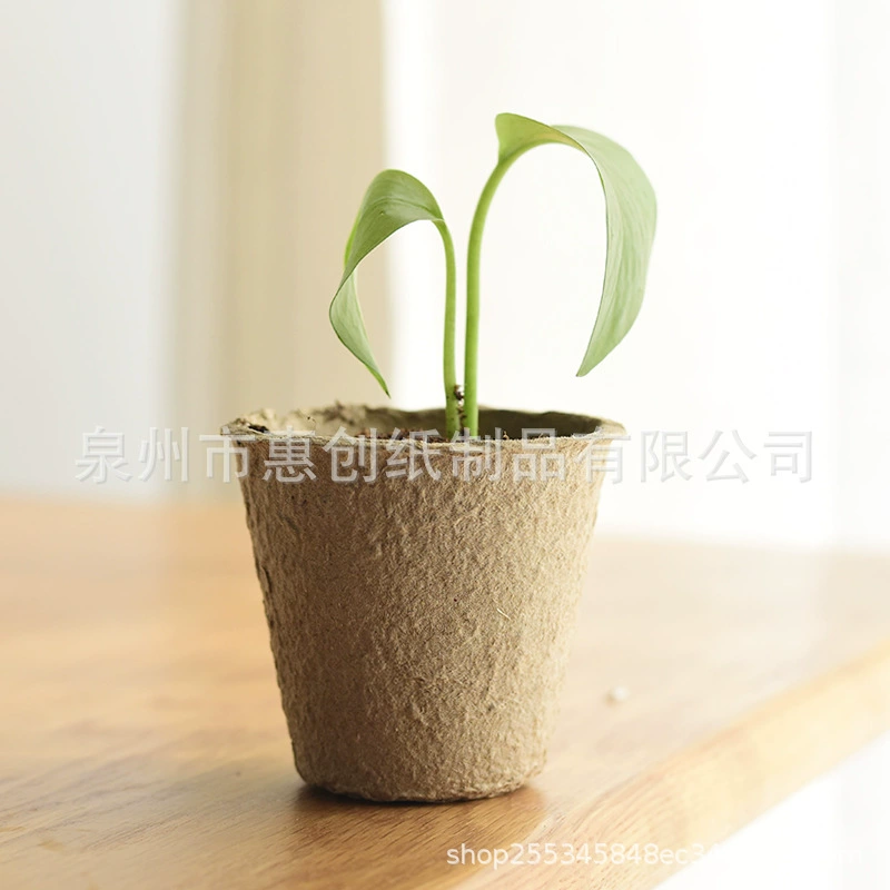 Фабрика Прямая целлюлоза рассады Чашка для рассады целлюлоза Чашка разлагаемая целлюлоза цветочный горшок целлюлоза поддерживает настройку обработки
