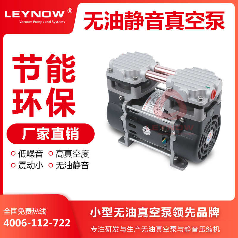 LEYNOW/ Leno LP300V vacuum Sterilizer Vacuum pump pressure steam Sterilizer vacuum disinfect Air pump