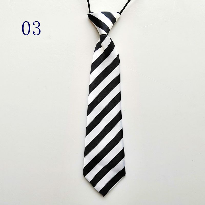 Create a new folder (bowtie) IMG_20190325_113141_