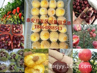 ���l����Ҙ���36-5 �S�� ���� ζ������һ�����Ҙ���r��