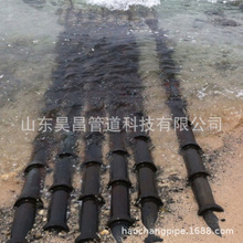 �S�����l���|���o�׹� ��ī�T�F������|���o�� ���I���a���l