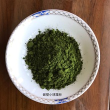 SֱNƱ98%ϸ ƱС Chlorella Powder