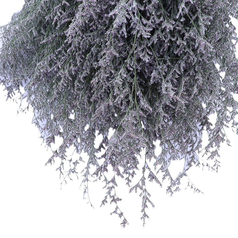 Fábrica al por mayor decoración del hogar amante hierba flor seca ramo fotografía apoyos transfronterizos flor seca suministro