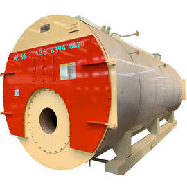 国内专业液化气蒸汽锅炉公司 常压液化气蒸汽锅炉
