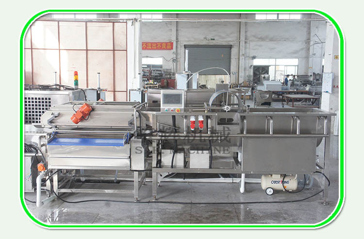 爆款 菠菜清洗设备菜类清洗机果蔬清洗流水线 定做