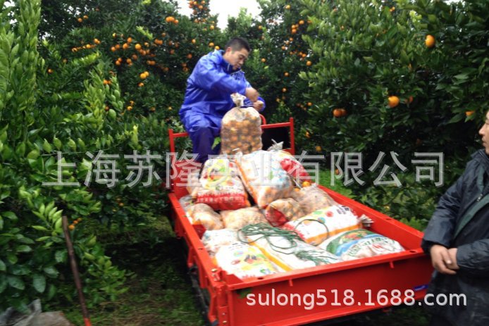 乘坐式履带搬运车3B81CTDP 筑水牌运输机