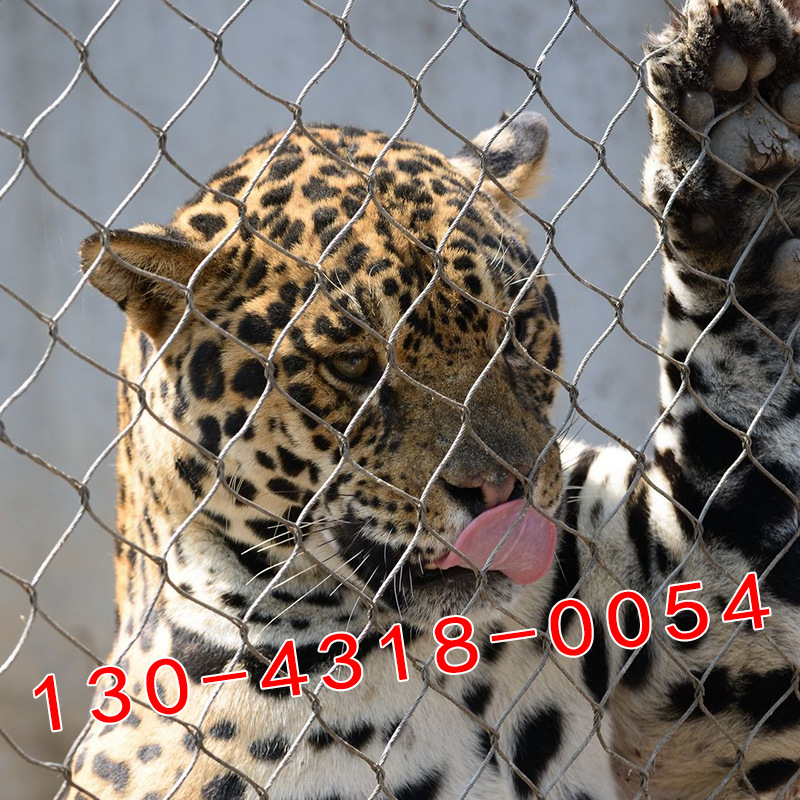2018新引进骐骏安全围网,动物园围网,安全系数更高防止老虎伤人