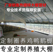 云南养殖大棚钢管全套养鸡场鸡棚搭建养殖鸡舍养猪鸭牛猪大棚保温