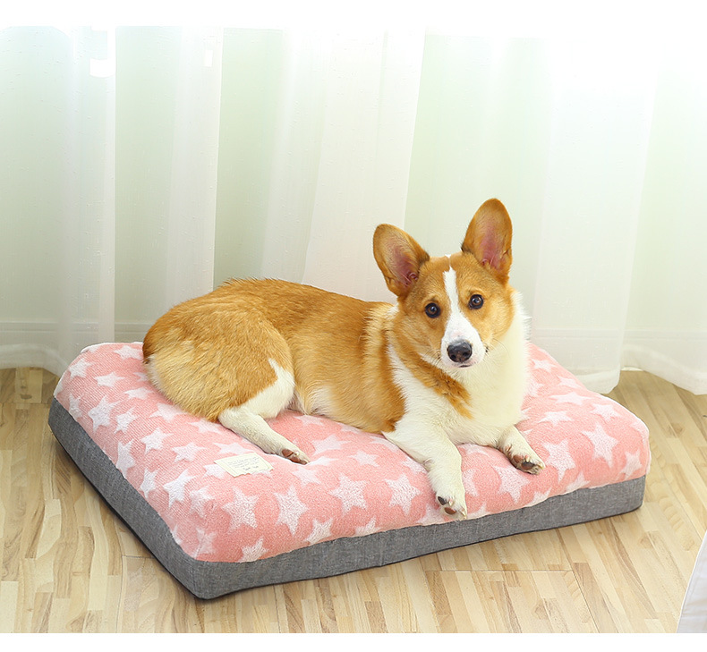加厚狗垫二_01.jpg