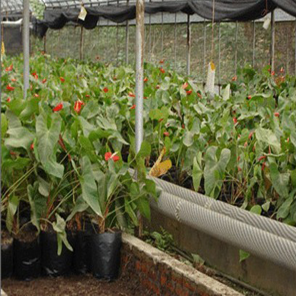 大棚用蒸汽式翅片管散热器热交换设备工厂厂房取暖翅片管设备