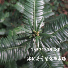 �����²�����ɼ�N�� ɼ����ľ�N�� ����ɼ�N�����l �L����N