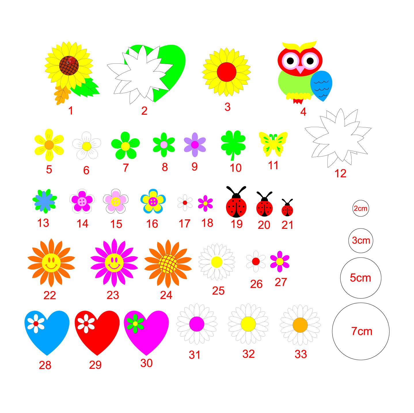 IMG_20191006_1155471