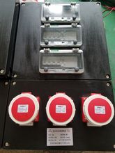 DELIXI/德力西BXX51系列防爆动力检修箱复合型厂用防爆检修插座箱
