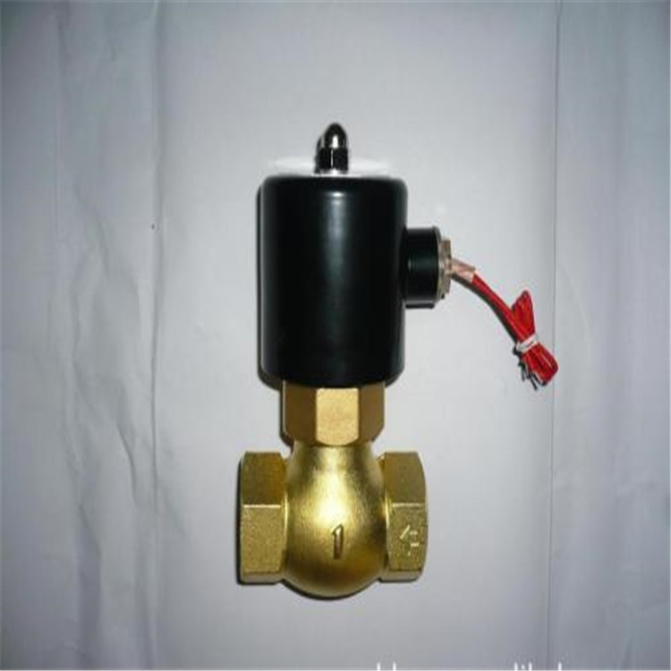 ZSZ-15 ZSZ-20 ZSZ-25 ZSZ-32 ZSZ-40 ZSZ-50氨气电磁阀DC220VSTF