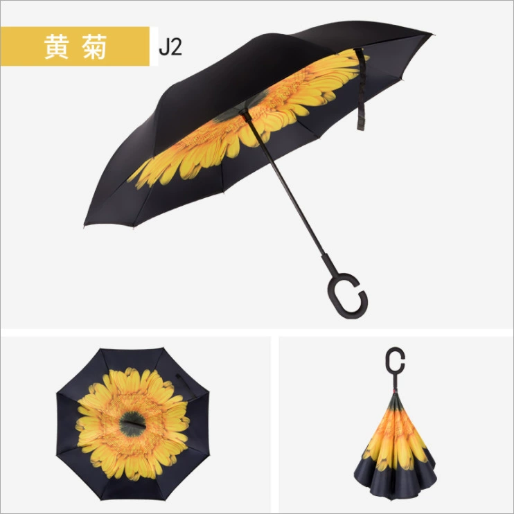 Double-layer umbrella for car, Birthday gift