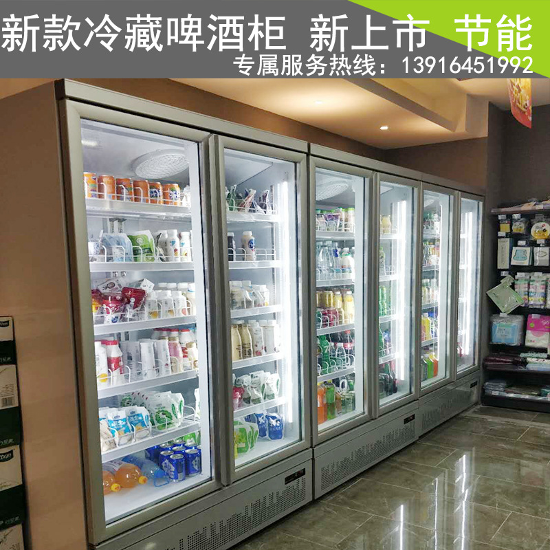 双门饮料柜三门四门冷冻海鲜速冻汤圆水饺超市保鲜速冻柜商用冷藏