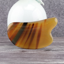 lƷƷţǹƬӺͻķƬĘ