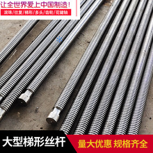 ���P����νz�UT�ͽz���ݗU 2205 2805 3606 7008t�ͽz�U