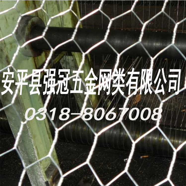 厂家供应六角网 保温网 养鸡网（实体工厂）