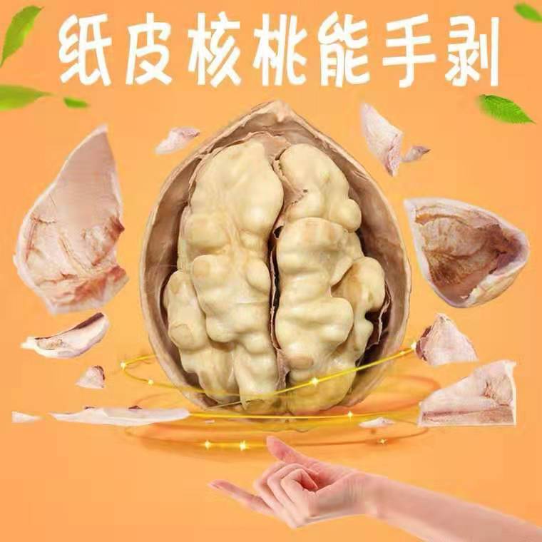 微信图片_20190912221547